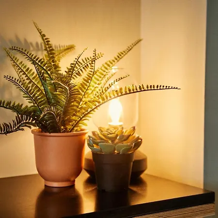 מלון Firefly Carrolls