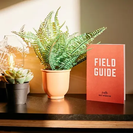 Firefly Carrolls * בריי