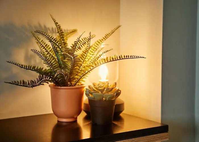 Hotel Firefly Carrolls