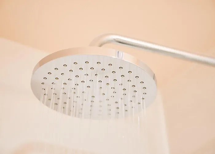 Firefly Carrolls Bray