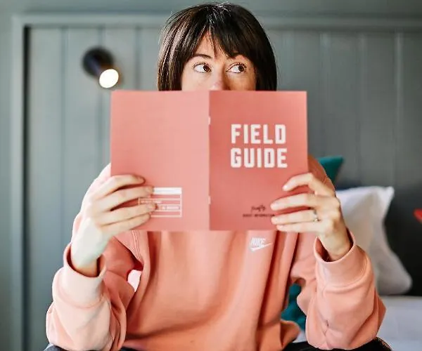 Hotel Firefly Carrolls Bray