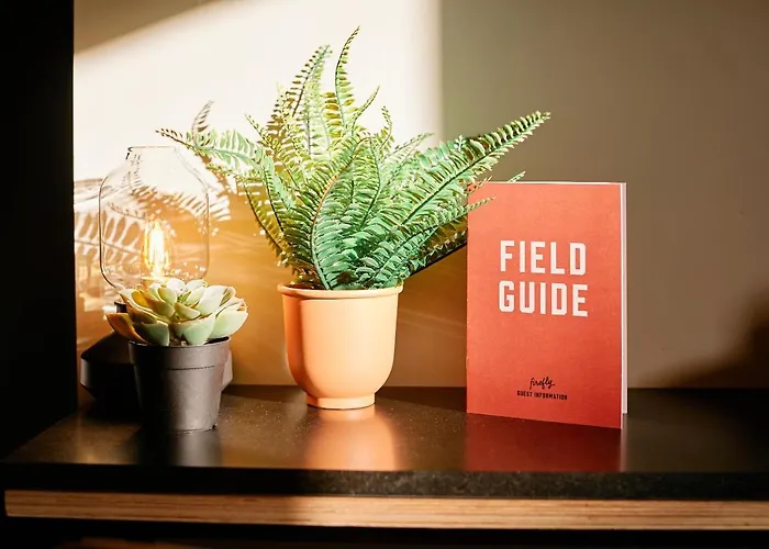 Firefly Carrolls * Bray